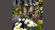 Flowers By Canatara