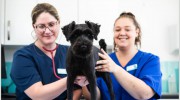 Portchester Vets