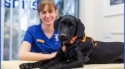 Cogges Veterinary Surgery