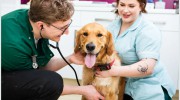 The Bishops Veterinary Surgery