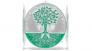 Miranda L. Welton Complementary Therapies Practitioner