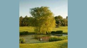 Great Barr Golf Club