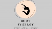 Body Synergy Pole Dancing Fitness