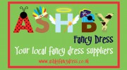 Ashby Fancy Dress