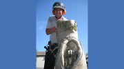 Chartley Tree & Hedge Services