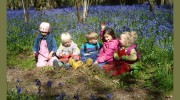 Elves & Fairies Woodland Nursery