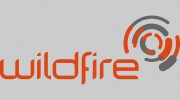 Wildfire