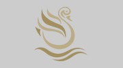 The White Swan