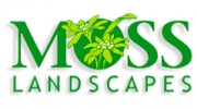 Moss Landscapes