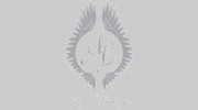 Angel Lounge Hair Salon