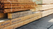 Wood Green Timber