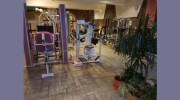 The Exercise Club
