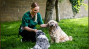 Strathmore Veterinary Clinic