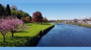 Braidwoods Solicitors & Estate Agents