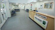 Minster Veterinary Practice