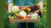Evans Farm Shop