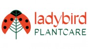 Ladybird Plant Care