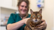 Powderham Veterinary Group