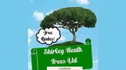 Shirley Heath Trees