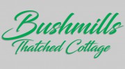 Bushmills