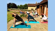 Yoga Tree Of Life