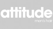 Attitude Men's Hair