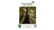 Special Branch Tree Surgeons