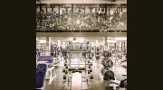 Monster Gymnasium