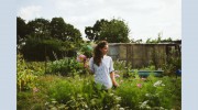 The Allotment Florist
