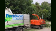 Bankswood Treecare