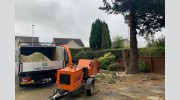 S G Tree Services