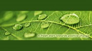 Fresh Leaf Hypnotherapy