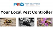 Pest Solutions Oxfordshire