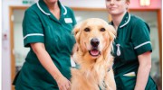 The Byre Veterinary Practice