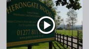 Herongate Wood