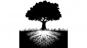 Pellipar Tree Services