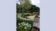 Evergreen Garden Design & Build