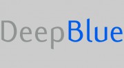 Deep Blue Networks