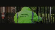 Falcon Security