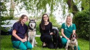 Clarendon Veterinary Centre