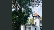 Navaar House