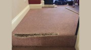 Alpha Carpets