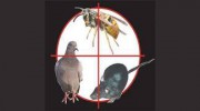 Southwest Pest Control