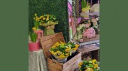 Flower Cellar