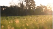 Beresfords Residential
