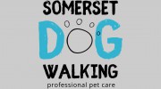 Somerset Dog Walking