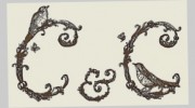 Country & Coastal Interiors