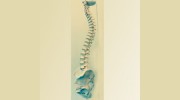 Stroud Chiropractor