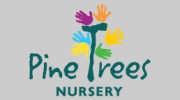 Pine Trees Nursery