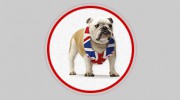 Bulldog Garage Doors